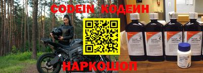 герыч Кингисепп