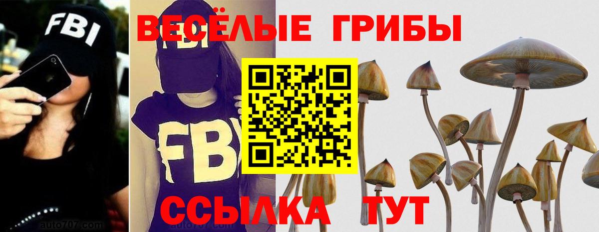 сколько стоит  Вход с VPN  Балтийск  Галлюциногенные грибы Cubensis 